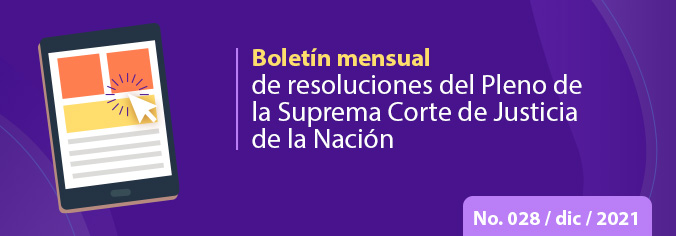Boletín Mensual No 28 - diciembre 2021