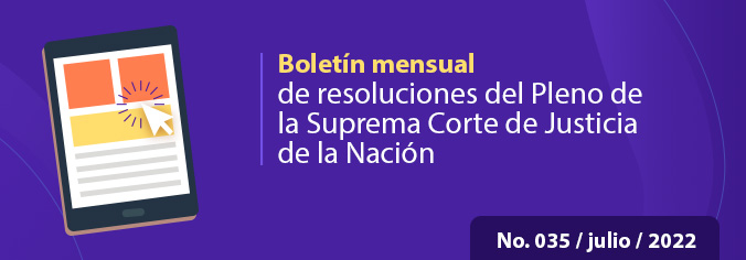 Boletín Mensual No 35