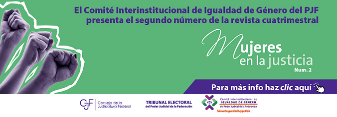 Mujeres en la justicia