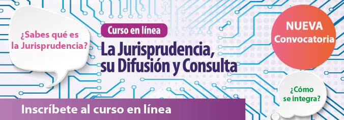 La jurisprudencia, su Difusión y Consulta