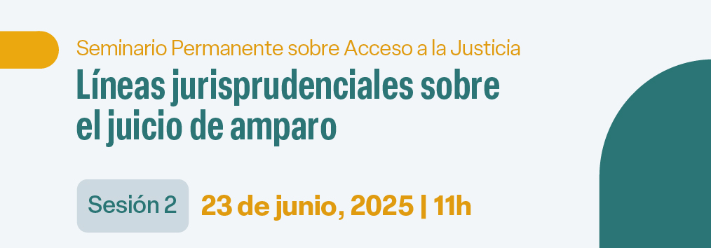 Líneas jurisprudenciales sobre el juicio de amparo