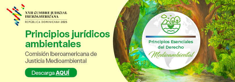 Principios jurídicos ambientales 2025