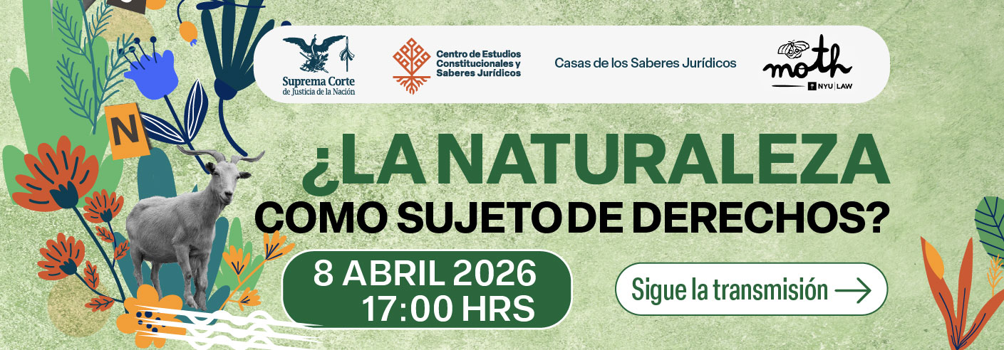  ¿La naturaleza como sujeto de derechos?