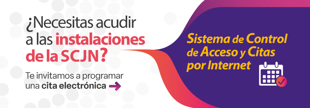 Sistema de Control de Acceso y Citas por Internet
