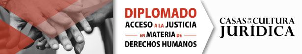 Diplomado de Acceso a la Justicia en Materia de Derechos Humanos