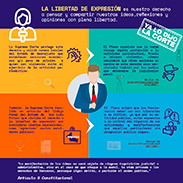 INFOGRAFÍA PROTECCIÓN A LA LIBERTAD DE EXPRESIÓN