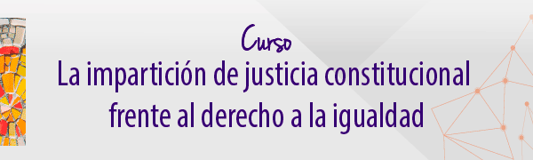Curso 'La impartición de justicia constitucional frente al derecho a la igualdad'. Profesor Martin Borowski. del 25 de febrero al 9 de marzo.