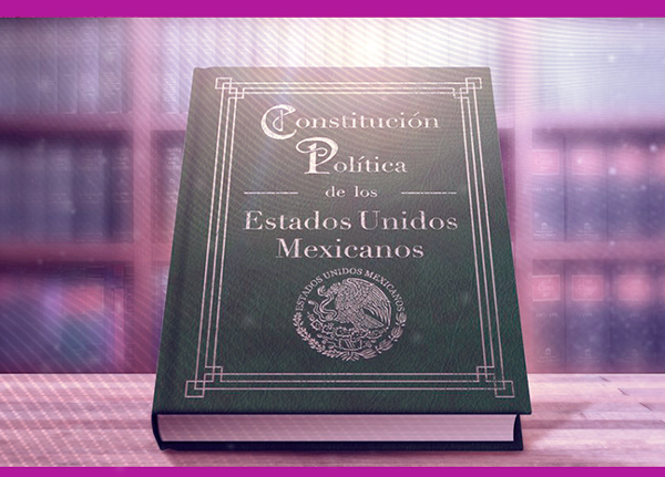 La Constitución: anhelo de igualdad y democracia