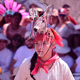 SE CONCEDE AMPARO A COMUNIDAD INDÍGENA MAYO-YOREME PARA QUE SEMARNAT REALICE CONSULTA PREVIA, LIBRE E INFORMADA SOBRE EL PROYECTO DE LA PLANTA DE AMONIACO EN TOPOLOBAMPO, SINALOA