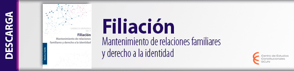 Descarga el libro 'Filiación. Mantenimiento de relaciones familiares y derecho a la identidad',  de la serie Cuadernos de Jurisprudencia.
