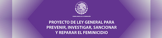 Proyecto de Ley General para Prevenir, Investigar, Sancionar y Reparar el Feminicidio
