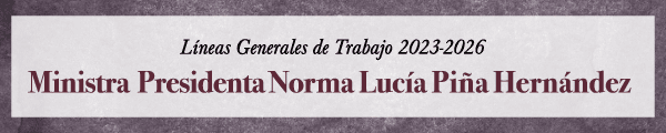 Líneas Generales de Trabajo 2023-2026, Ministra Presidenta Norna Lucía Piña Hernández