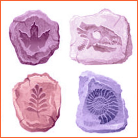 SCJN INVALIDA LEGISLACIÓN DE NUEVO LEÓN SOBRE VESTIGIOS Y RESTOS FÓSILES POR INVADIR LA COMPETENCIA DE LA FEDERACIÓN