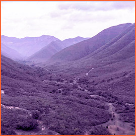 LA PRIMERA SALA RECONOCIÓ LA VALIDEZ DEL DECRETO QUE DECLARA ZONA NATURAL PROTEGIDA, EN CATEGORÍA DE RESERVA NATURAL ESTATAL, LA DENOMINADA “ECOSISTEMAS DE LA SIERRA DE PICACHOS”, EN EL MUNICIPIO DE HIGUERAS, NUEVO LEÓN