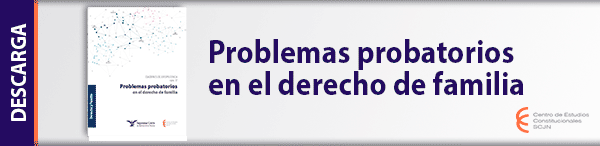 Descarga el libro 'Problemas probatorios en el derecho de familia',  de la serie Cuadernos de Jurisprudencia.