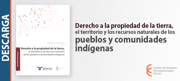 Descarga el libro 'Derecho a la propiedad de la tierra, el territorio y los recursos naturales de los pueblos y comunidades indígenas'.