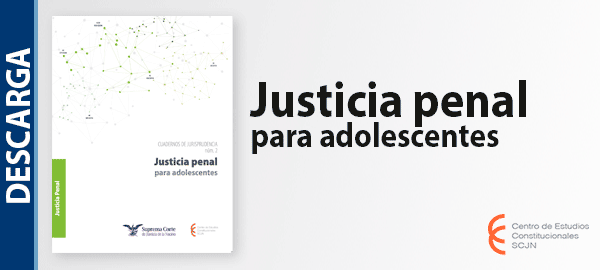 Descarga el libro 'Justicia penal para adolescentes'.