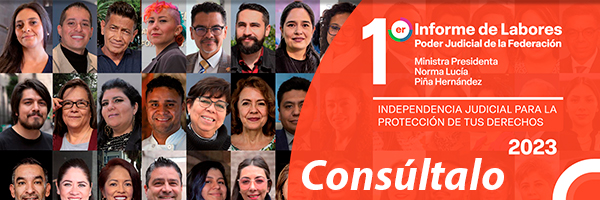 Consulta el 1er Informe de Labores de la Ministra Presidenta Norma Lucía Piña Hernández