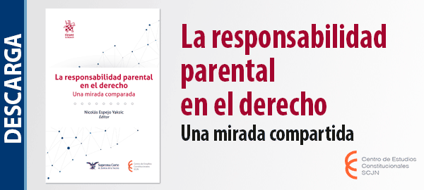 Descarga el libro 'La responsabilidad parental en el derecho. Una mirada compartida'.