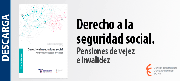 Descarga el libro 'Derecho a la seguridad social. Pensiones de vejez e invalidez'.