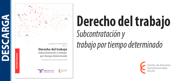 Descarga el libro 'Derecho del trabajo. Subcontratación y trabajo por tiempo determinado'.