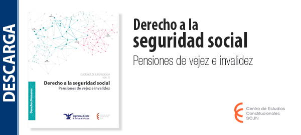 Descarga el libro 'Derecho a la seguridad social. Pensiones de vejez e invalidez'.