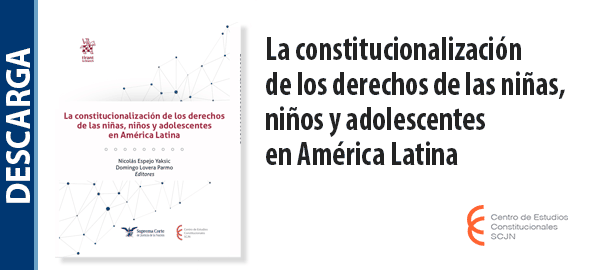 Descarga el libro 'La constitucionalización de los derechos de las niñas, niños y adolescentes en América Latina'.