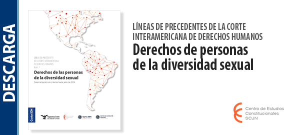 Descarga el libro 'Líneas de precedentes de la Corte Interamericana de Derechos Humanos: Derechos de las personas de la diversidad sexual'.