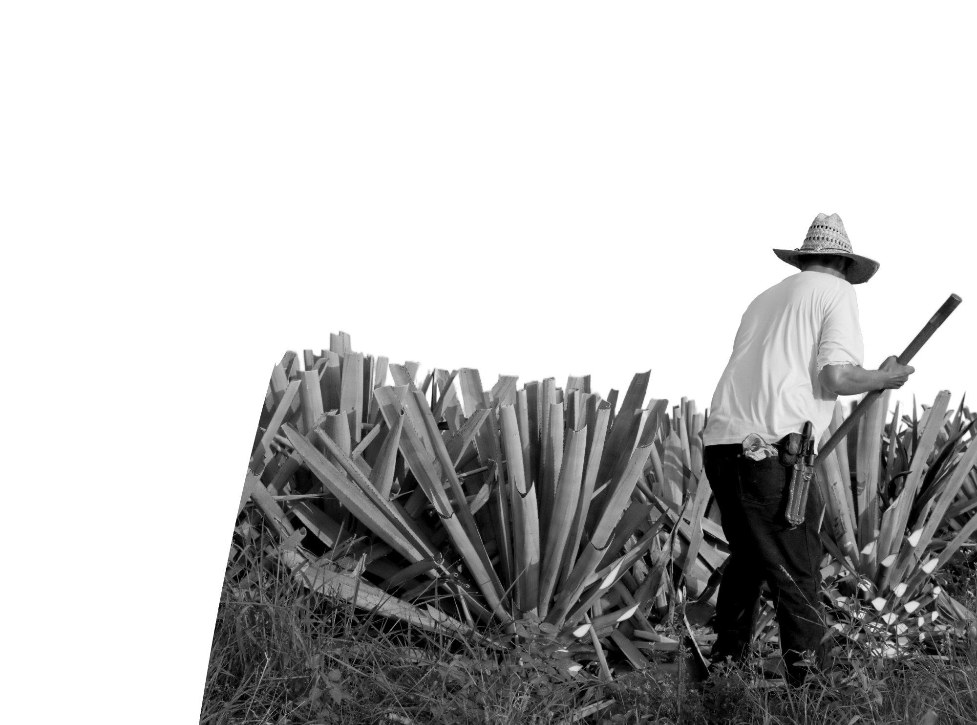 Derecho al Trabajo