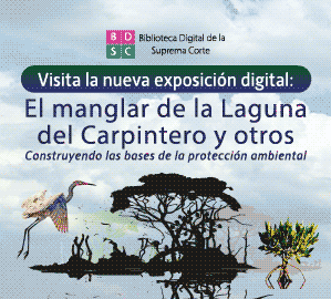 Visita la exposición digital 'El manglar de la Laguna del Carpintero y otros. Construyendo las bases de la protección ambiental'