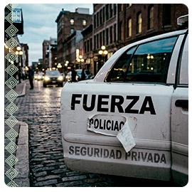 Se confirma la constitucionalidad de la prohibición a empresas de seguridad privada de utilizar denominaciones que puedan confundirse con instituciones de seguridad pública.