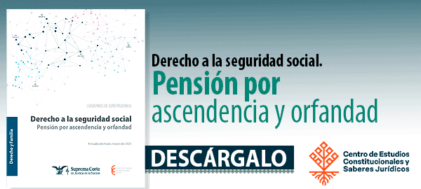Descarga el libro  'Derecho a la seguridad social. Pensión por ascendencia y orfandad'.