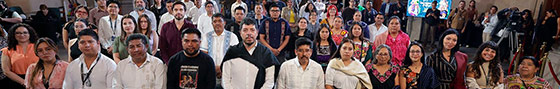 'Las primaveras P'urhepechas: Construyendo el derecho al autogobierno indígena en México'.