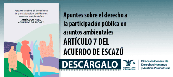 Descarga el libro  'Apuntes sobre el derecho a la participación pública en asuntos ambientales. Artículo 7 del Acuerdo de Escazú'.