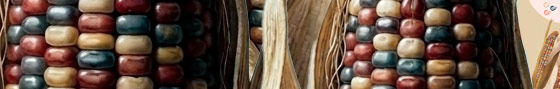Asómate a llas mesas de diálogo desarrolladas en el coloquio 'Conversaciones sobre Patrimonio Alimentario y Biocultural en México'