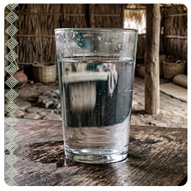 Se establecen criterios para proteger el agua de comunidades indígenas de Hopelchén, Campeche, ante indicios de plaguicidas en la región