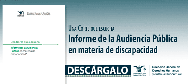 Descarga el 'Informe de la Audiencia Pública en materia de discapacidad'.