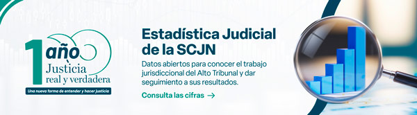Conoce la estadística del trabajo jurisdicconal de la SCJN. Datos abiertos y seguimiento de resultados.