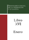 Libro 16 2013 Enero. Archivo PDF para descargar, se abrirá en una nueva ventana