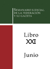 Libro 21 2013 Junio. Archivo PDF para descargar, se abrirá en una nueva ventana