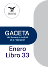 Libro 33 2024 Enero.  Archivo PDF para descargar, se abrirá en una nueva ventana