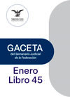 Libro 45 2025 Enero.  Archivo PDF para descargar, se abrirá en una nueva ventana