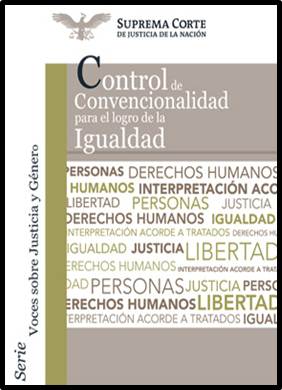 Control de Convencionalidad para el Logro de la Igualdad