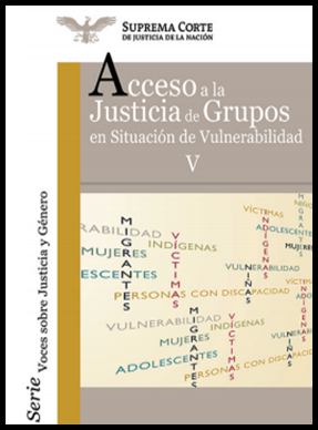Acceso a la justicia de grupos en situación de vulnerabilidad V
