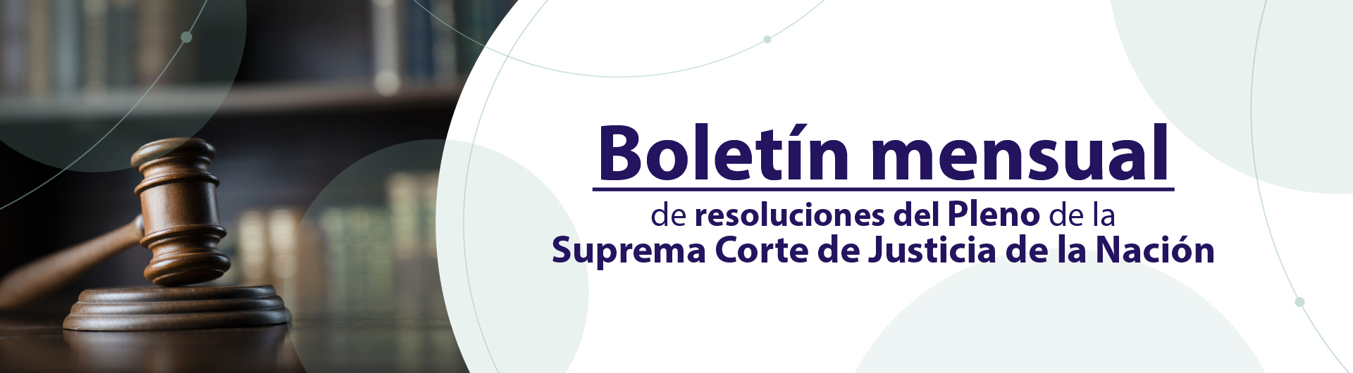 Boletín mensual de Resoluciones del Pleno
