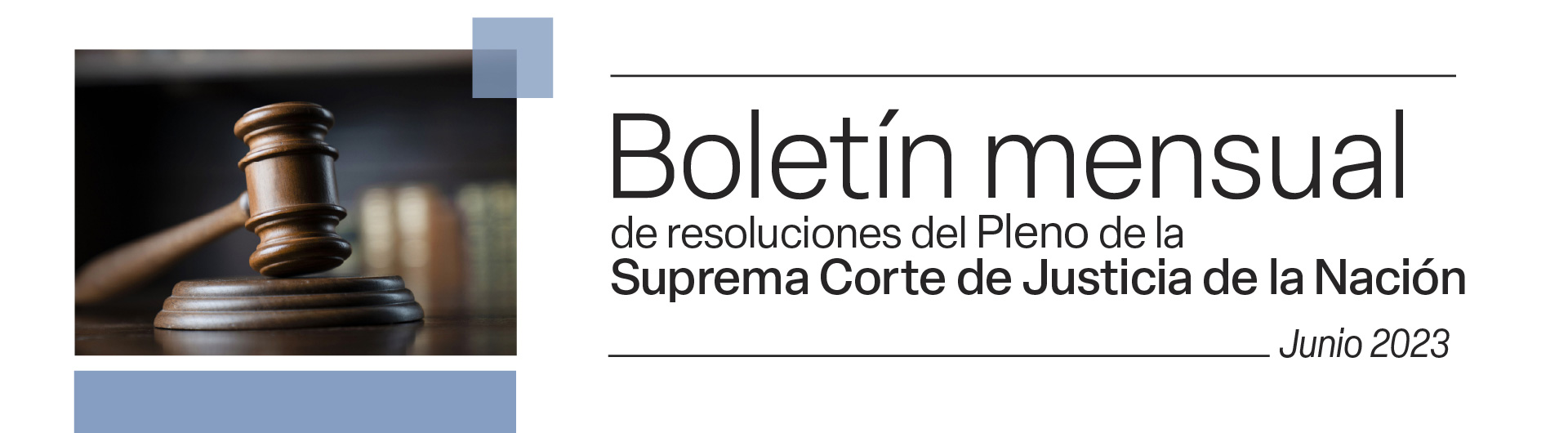 Boletín mensual de Resoluciones del Pleno