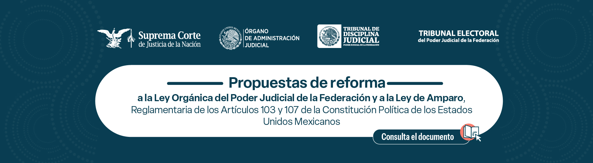 Propuesta de reforma Ley Orgánica